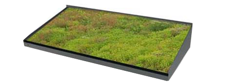 Förberett för sedum+29 000 SEK